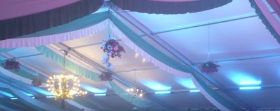 SF W 2012 5.JPG